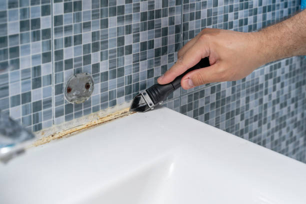Best Health and Safety Mold Remediation in Coker, AL