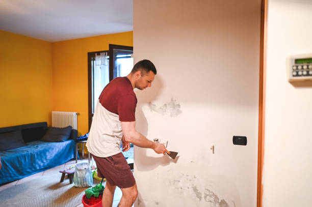 Best Residential Mold Remediation in Coker, AL